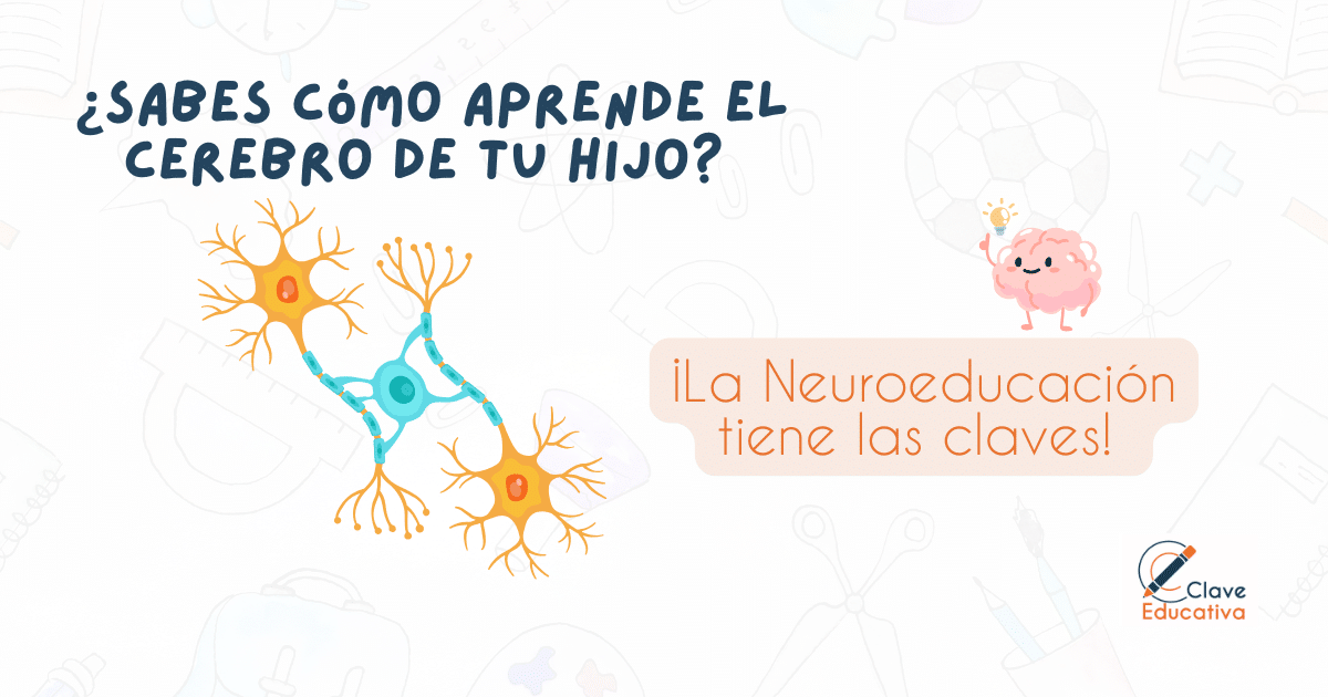 BLOG Neuroeducacion para Familias ¡Entiende como aprende tu hijo